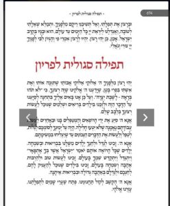 WhatsApp Image 2025-12-06 at 18.46.56