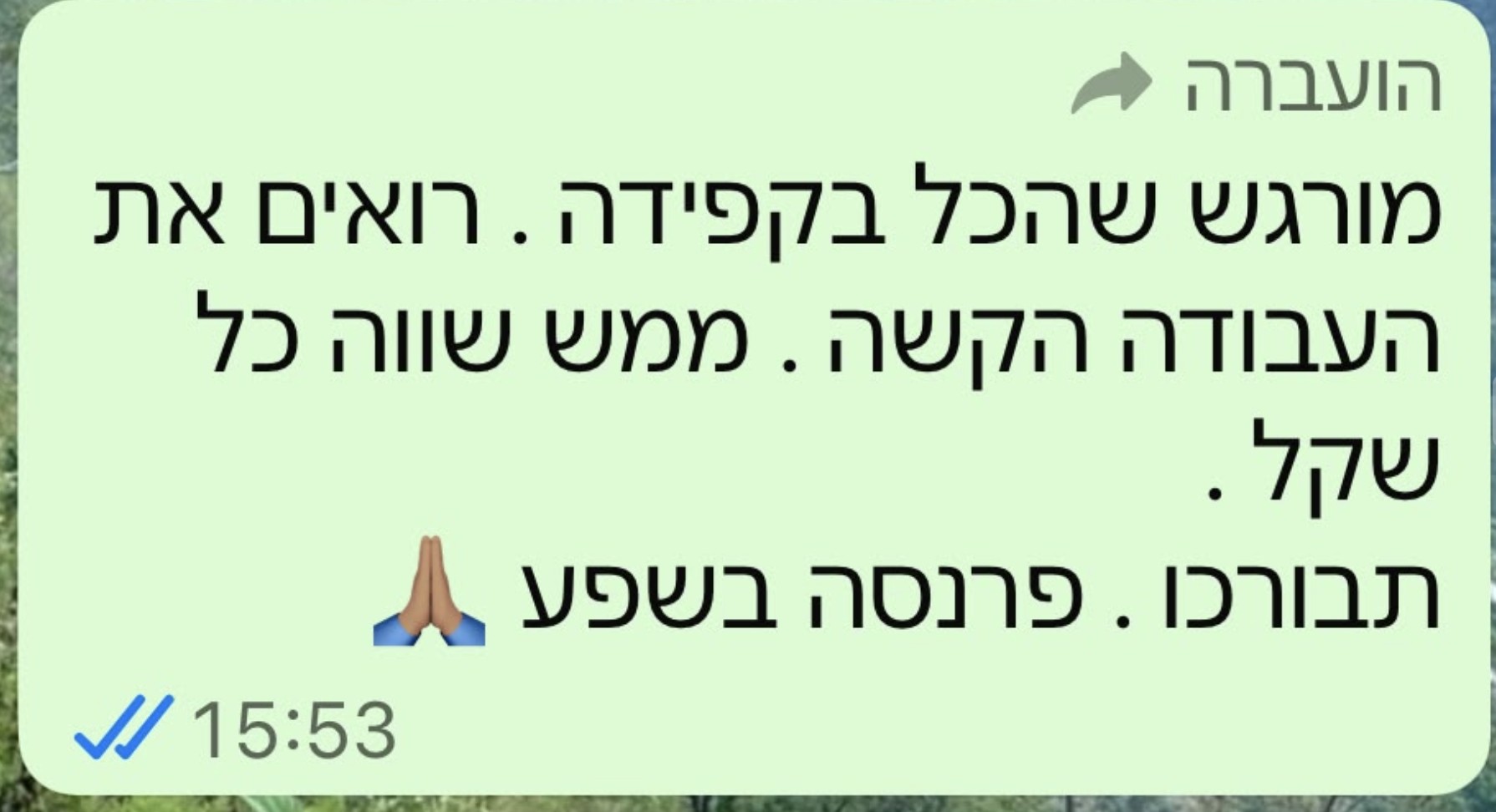 מכתב המלצה מלקוח